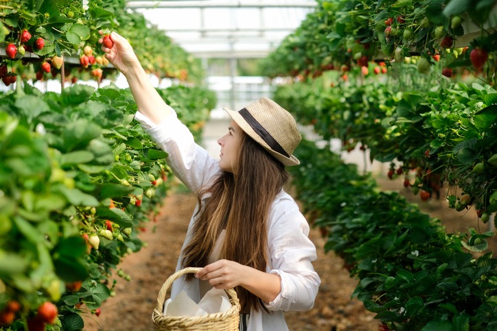 Young female worker in straw hat and basket