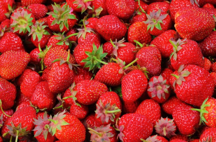 food-healthy-nature-red