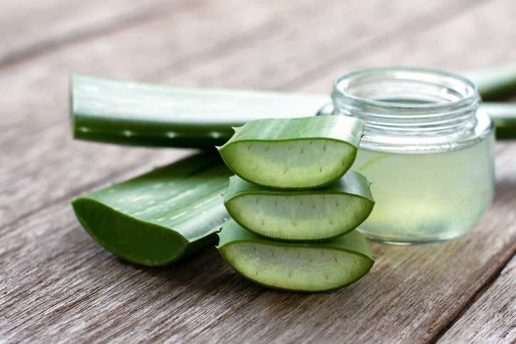 Aloe vera and its gel