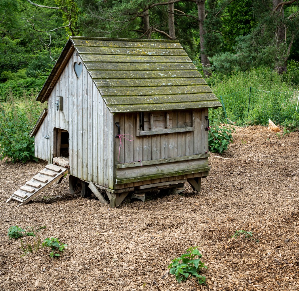 Making the coop too small