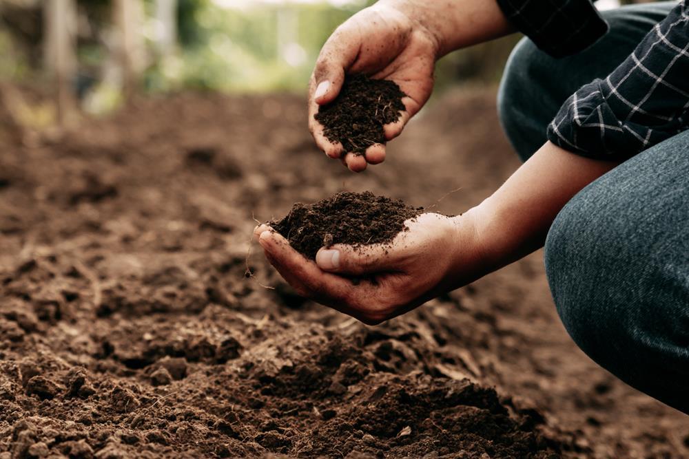 Broadforking for Soil Health